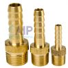 Hose Tail - Brass BSPT 1/8 - 2.5