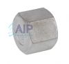Hexagon Blanking Cap 1/8 - 2 BSPP 316 St/Steel 