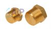 Brass Solid Hex Male BSPT and NPT Blanking Plug