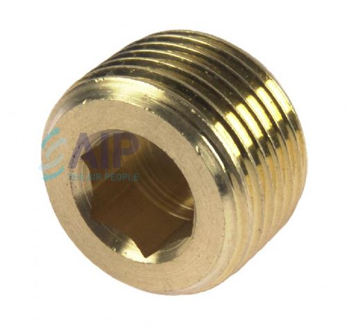 Plug Brass Internal Hex 1/8